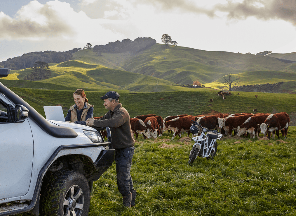 Two New Zealand farmers with beef cattle and pasture in the background