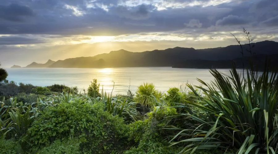 Scenic New Zealand coastal landscape