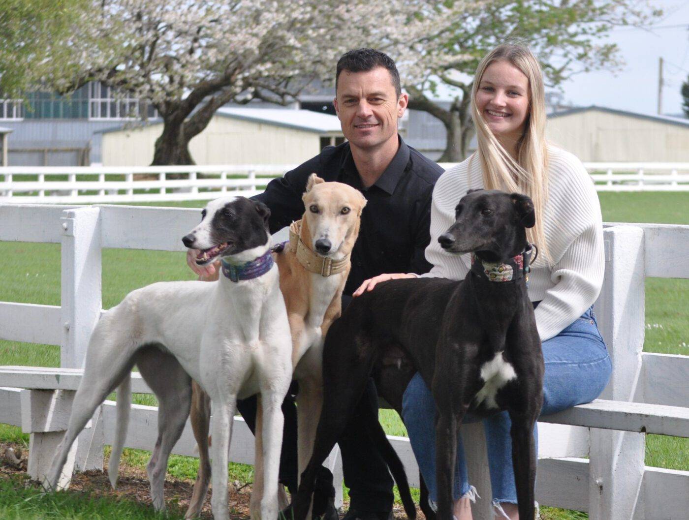 Team members with greyhounds from Greyhounds As Pets organisation